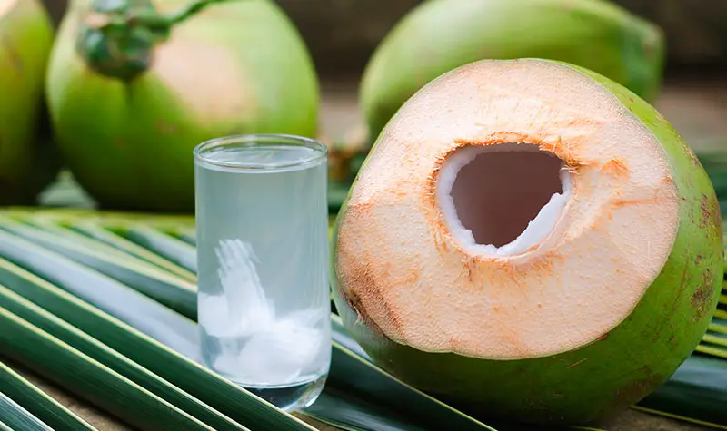 Cumbre del Coco