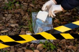 República Dominicana registra tasa acumulada de homicidios de 7.18 en julio